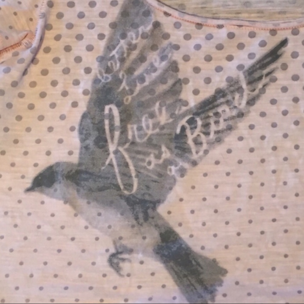 American Eagle Vintage T Polka Dot Crop Top - Picture 2 of 5